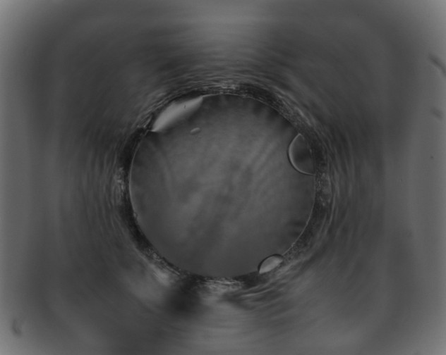 X0000093230707200709261652