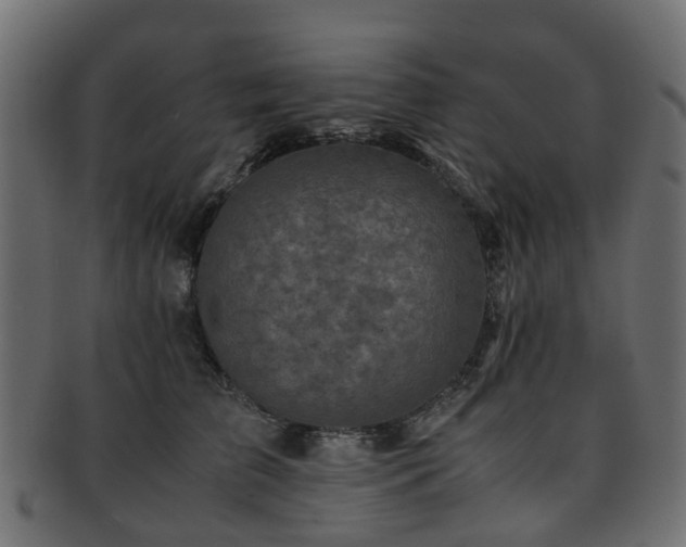 X0000093230709200709261652