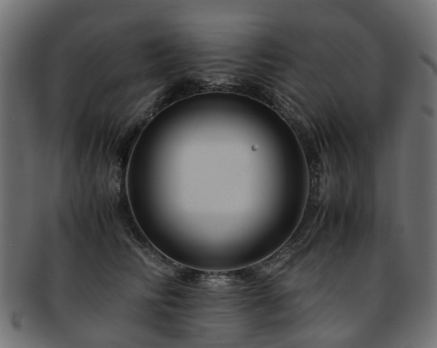 X0000093230710200709261652