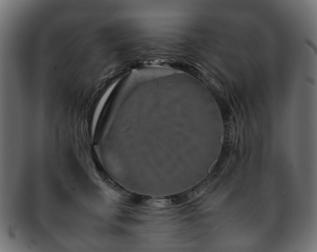 X0000093230711200709261652