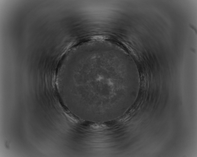 X0000093230712200709261652