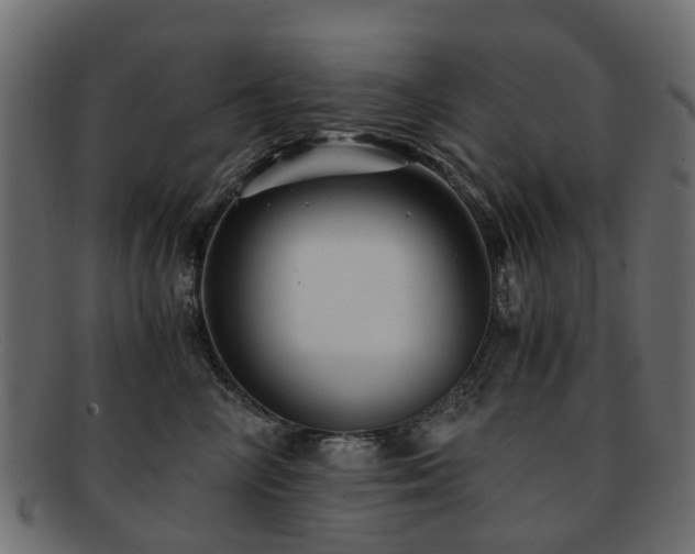 X0000093230714200709261652