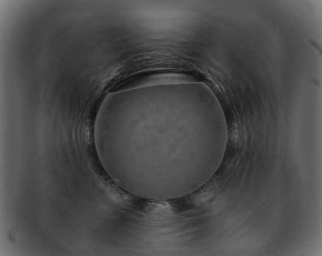 X0000093230715200709261652