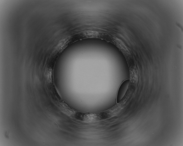 X0000093230717200709261652