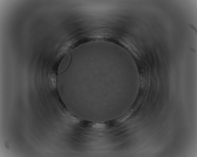 X0000093230718200709261652