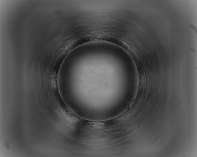 X0000093230719200709261652