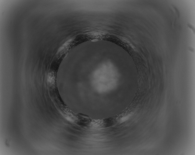 X0000093230720200709261652