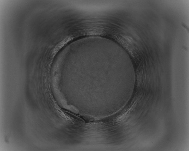 X0000093230721200709261651