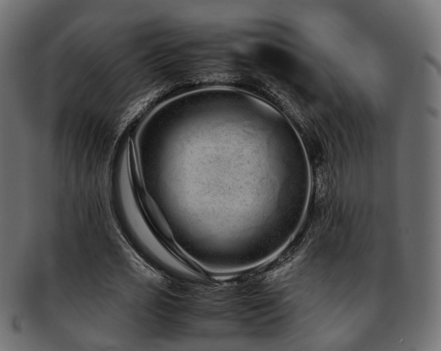 X0000093230725200709261651