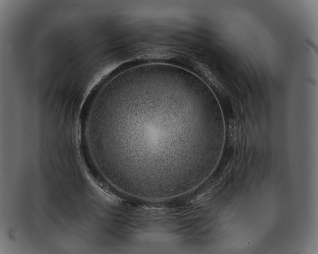 X0000093230726200709261651
