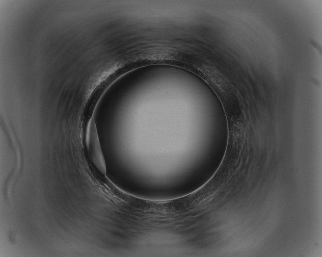 X0000093230727200709261651