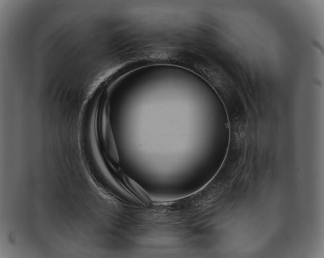 X0000093230728200709261651