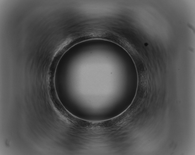 X0000093230730200709261651