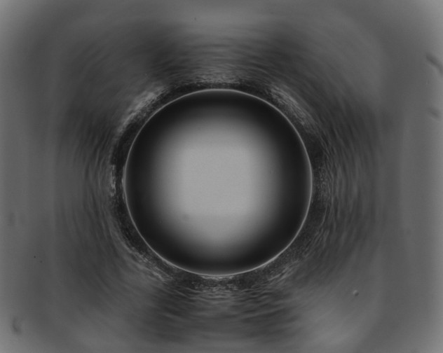 X0000093230731200709261651