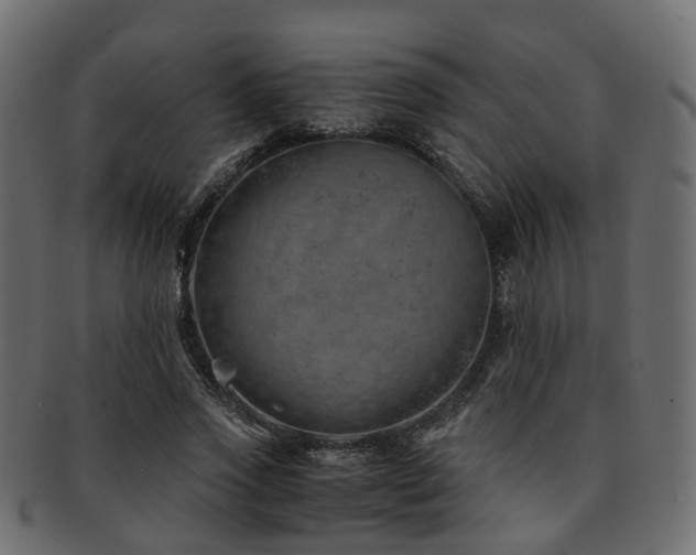 X0000093230733200709261651
