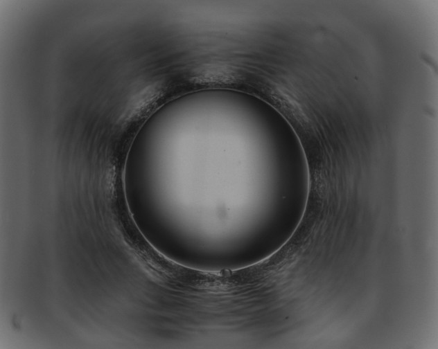 X0000093230735200709261652