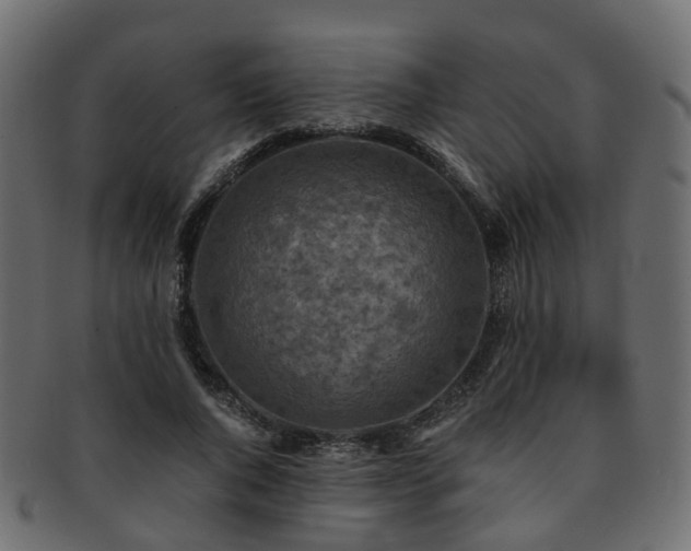X0000093230736200709261652