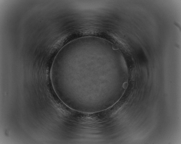 X0000093230737200709261652