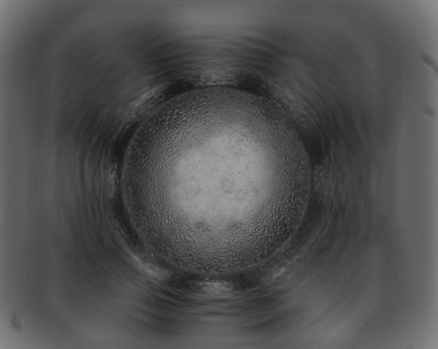 X0000093230741200709261652