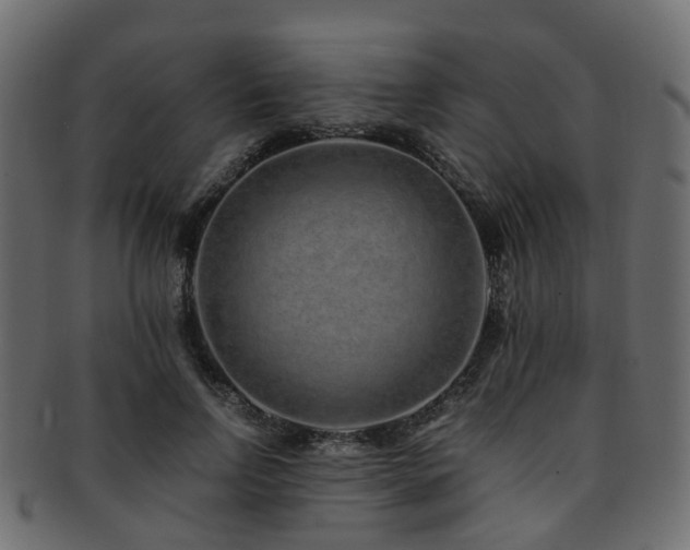 X0000093230742200709261652