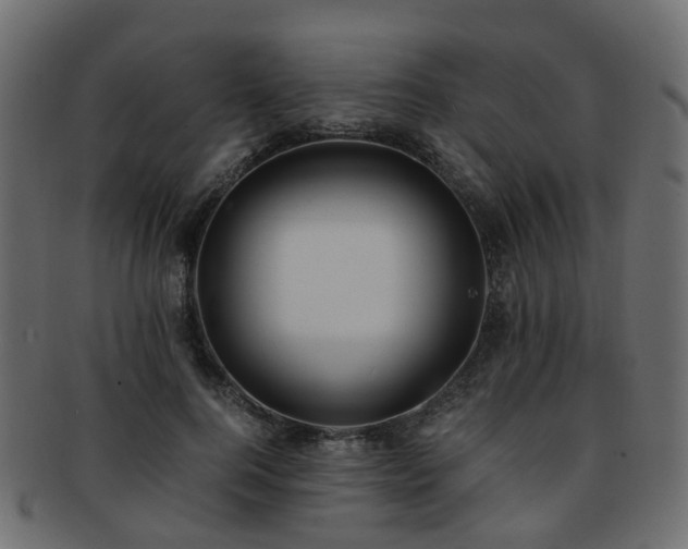 X0000093230744200709261652