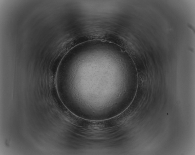 X0000093230745200709261652