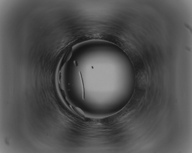X0000093230747200709261652