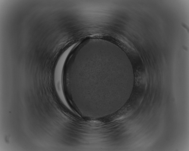 X0000093230748200709261652