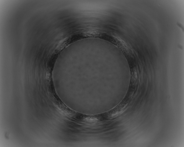 X0000093230749200709261652