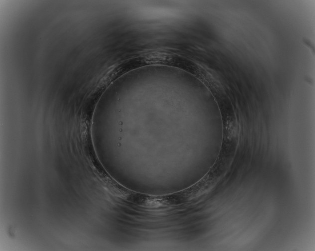 X0000093230753200709261652