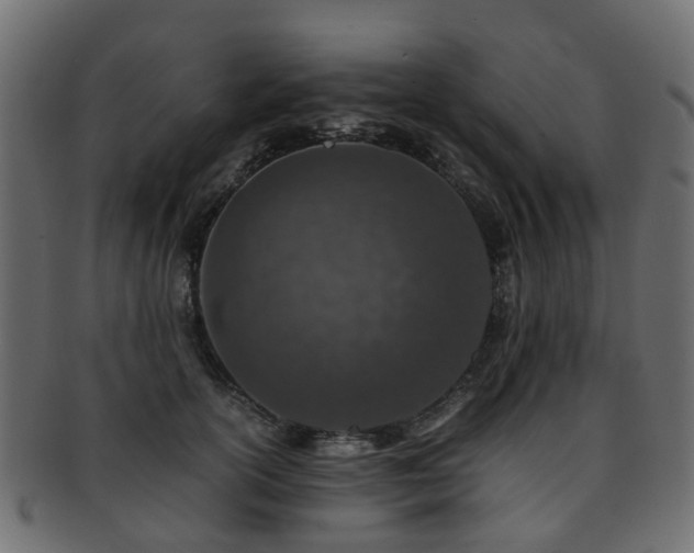 X0000093230754200709261652