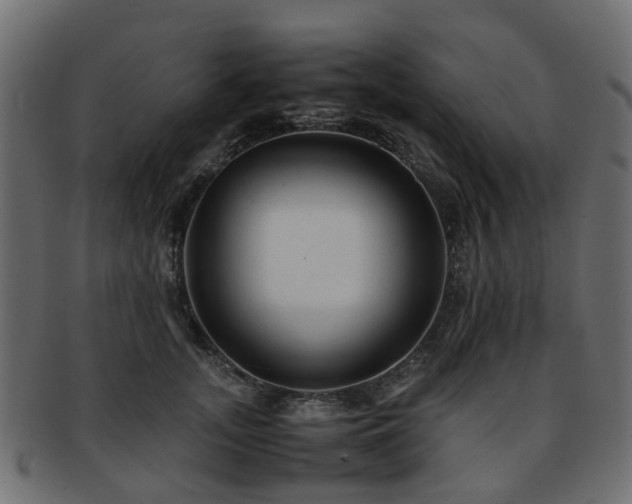 X0000093230755200709261652