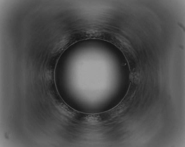 X0000093230756200709261652