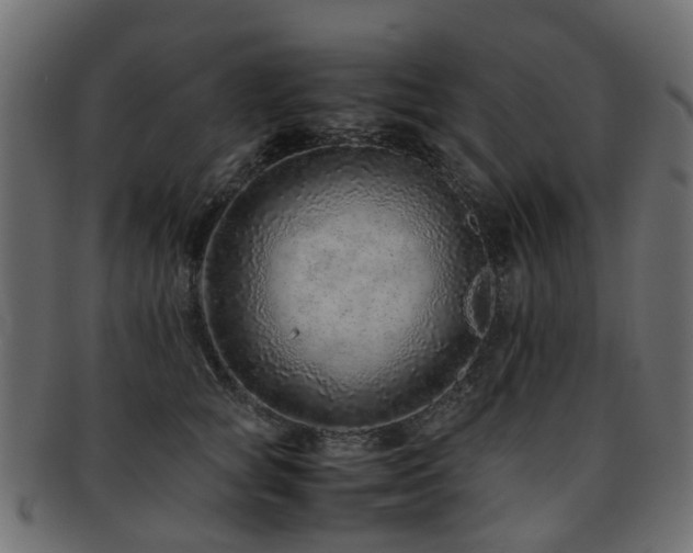 X0000093230757200709261652