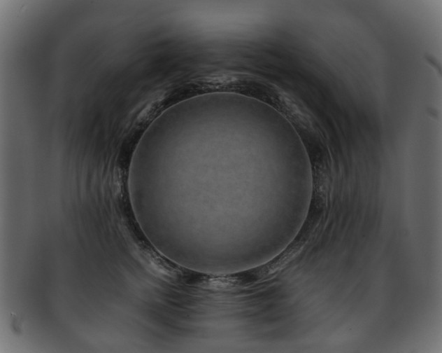 X0000093230758200709261652