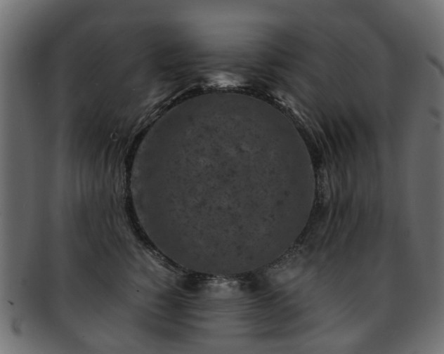 X0000093230760200709261652