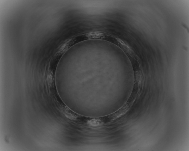X0000093230761200709261652