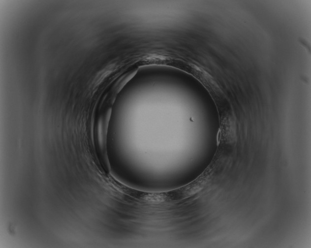 X0000093230762200709261652