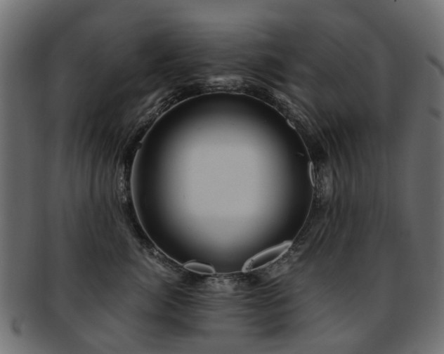 X0000093230764200709261652