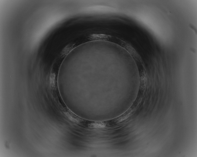 X0000093230765200709261652