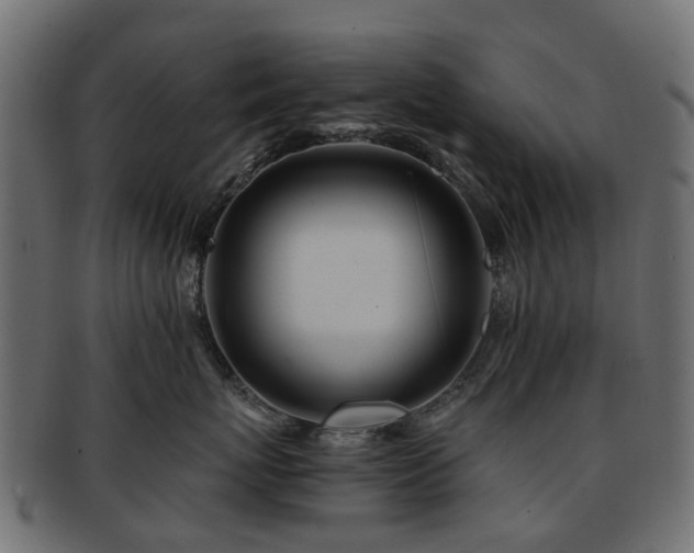 X0000093230767200709261652