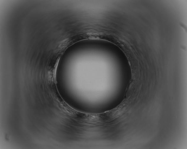X0000093230768200709261652