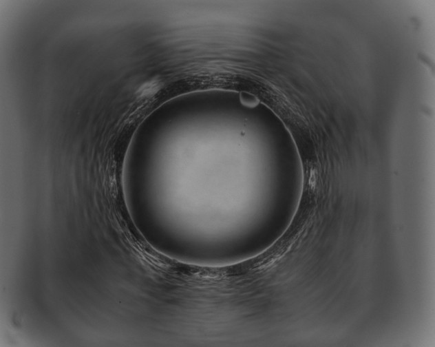 X0000093230771200709261651