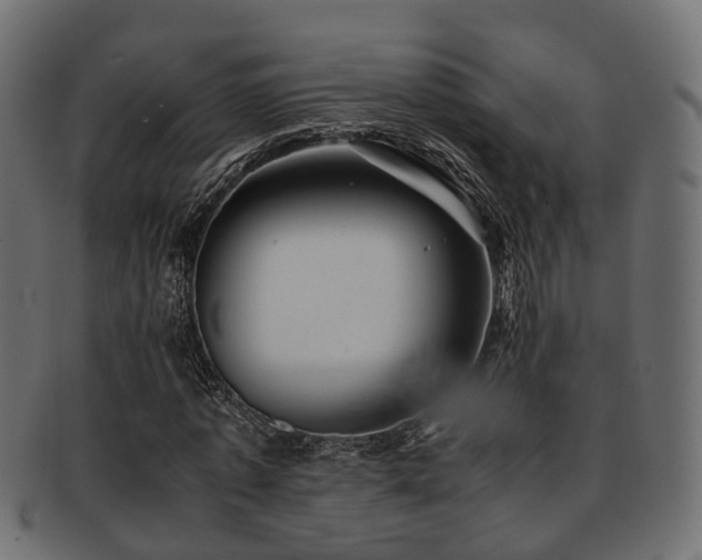 X0000093230773200709261651