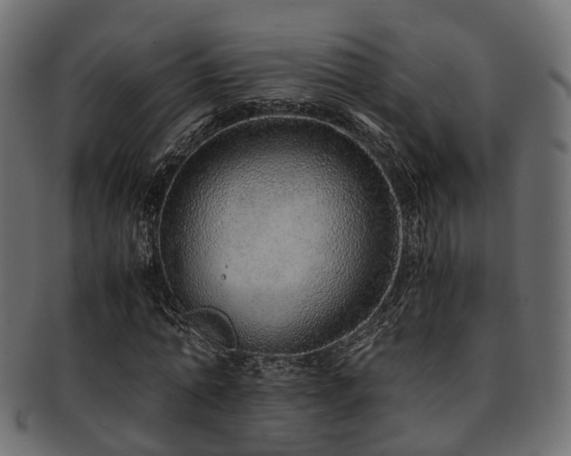 X0000093230774200709261651
