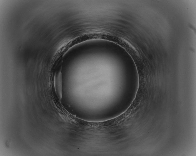 X0000093230775200709261651