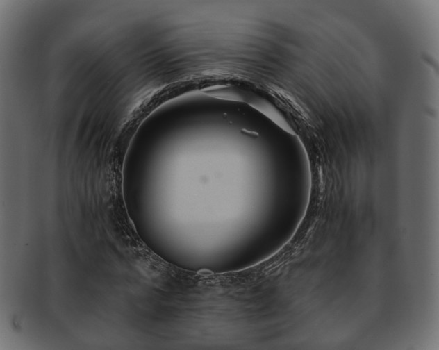 X0000093230776200709261651