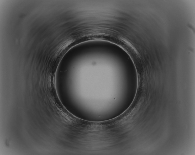 X0000093230777200709261651