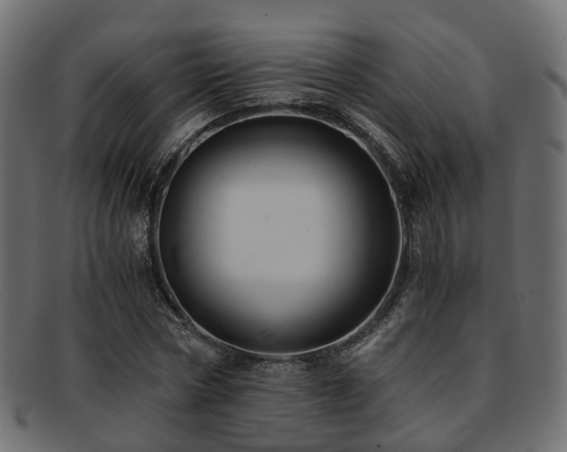 X0000093230778200709261651