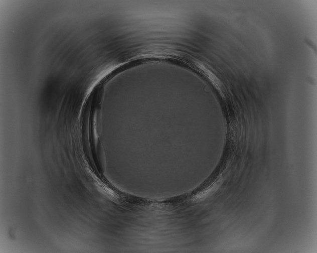 X0000093230779200709261651